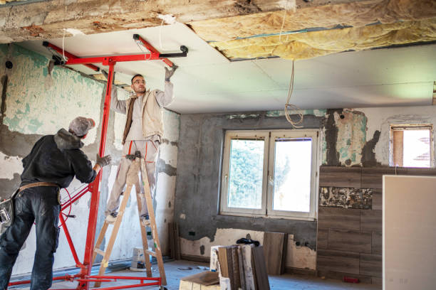 Best Geographic-Specific Insulation Services in Dixmoor, IL